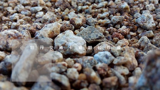 牡丹交通卡逾期被作废 牡丹交通卡逾期被作废