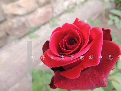 牡丹交通卡逾期非恶意影响房贷吗