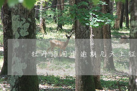 牡丹信用卡逾期几天上征信 牡丹信用卡逾期几天上征信