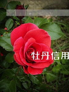 牡丹信用卡逾期收到银行信封 牡丹信用卡逾期收到银行信封