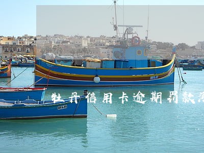 牡丹信用卡逾期罚款涨了一半 牡丹信用卡逾期罚款涨了一半