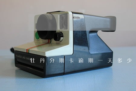 牡丹分期卡逾期一天多少费用 牡丹分期卡逾期一天多少费用