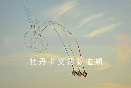 牡丹卡交罚款逾期 牡丹卡交罚款逾期