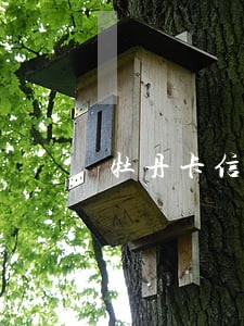 牡丹卡信用卡逾期催收电话多少 牡丹卡信用卡逾期催收电话多少