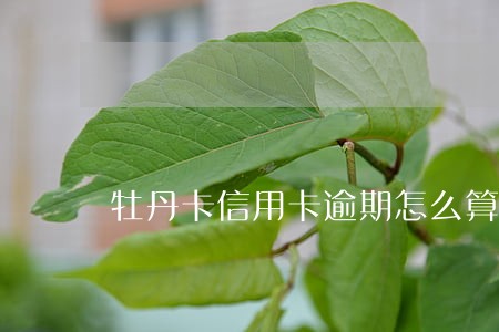 牡丹卡信用卡逾期怎么算