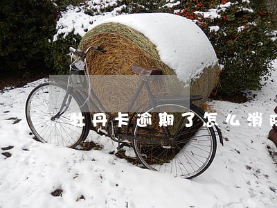 牡丹卡逾期了怎么消除记录 牡丹卡逾期了怎么消除记录