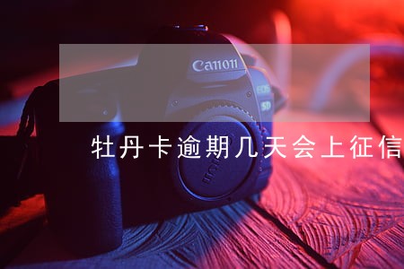 牡丹卡逾期几天会上征信 牡丹卡逾期几天会上征信