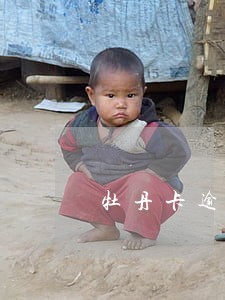 牡丹卡逾期后果严重吗
