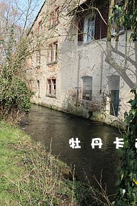 牡丹卡逾期怎么撤销 牡丹卡逾期怎么撤销