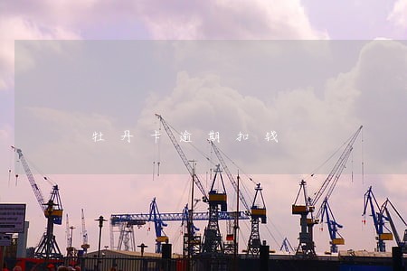 牡丹卡逾期扣钱 牡丹卡逾期扣钱