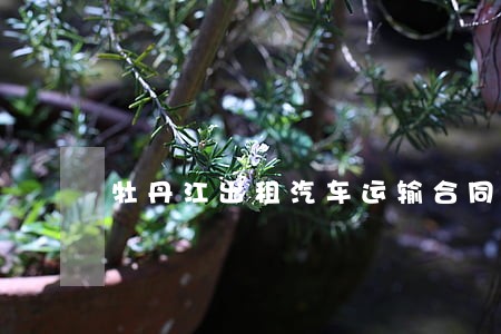 牡丹江出租汽车运输合同纠纷律师 牡丹江出租汽车运输合同纠纷律师