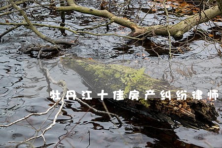 牡丹江十佳房产纠纷律师 牡丹江十佳房产纠纷律师