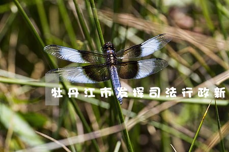 牡丹江市发挥司法行政新职能 牡丹江市发挥司法行政新职能