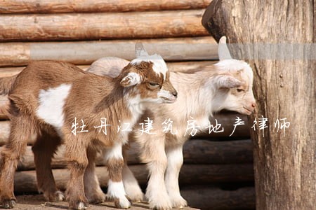 牡丹江建筑房地产律师 牡丹江建筑房地产律师