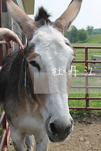 牡丹江物业合同纠纷律师咨询 牡丹江物业合同纠纷律师咨询