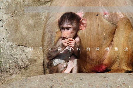 牡丹江离婚纠纷律师地址 牡丹江离婚纠纷律师地址