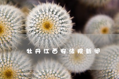牡丹江西安法院新闻 牡丹江西安法院新闻