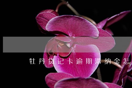 牡丹贷记卡逾期滞纳金怎么还 牡丹贷记卡逾期滞纳金怎么还