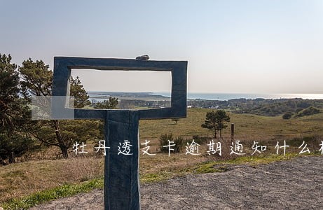 牡丹透支卡逾期通知什么样 牡丹透支卡逾期通知什么样