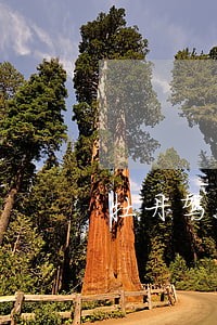 牡丹驾驶员通卡信用卡逾期了 牡丹驾驶员通卡信用卡逾期了