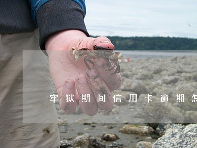 牢狱期间信用卡逾期怎么处理