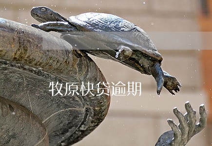 牧原快贷逾期