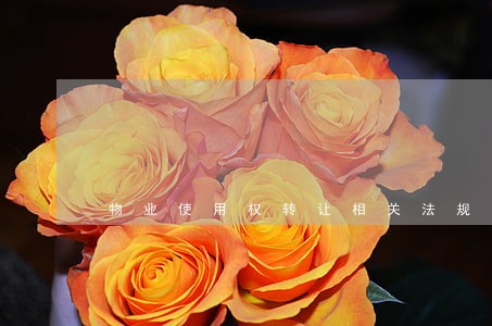 物业使用权转让相关法规 物业使用权转让相关法规