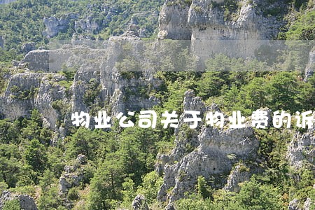 物业公司关于物业费的诉讼程序 物业公司关于物业费的诉讼程序