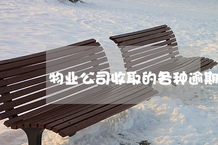物业公司收取的各种逾期押金 物业公司收取的各种逾期押金