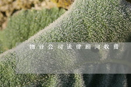 物业公司法律顾问收费 物业公司法律顾问收费
