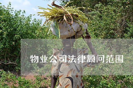 物业公司法律顾问范围 物业公司法律顾问范围