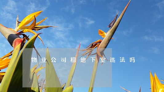 物业公司租地下室违法吗 物业公司租地下室违法吗
