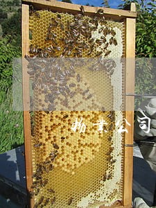 物业公司违法保洁外包