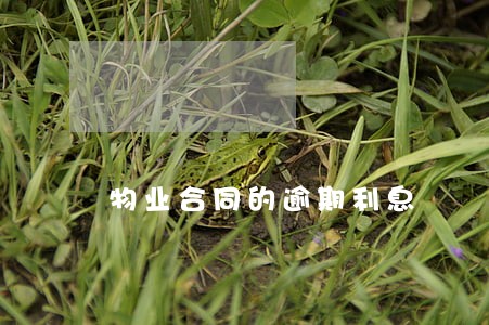物业合同的逾期利息 物业合同的逾期利息