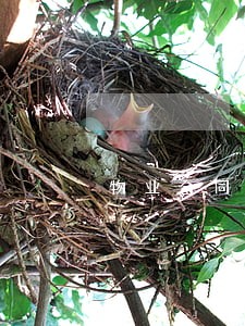 物业合同纠纷没开庭上征信吗 物业合同纠纷没开庭上征信吗
