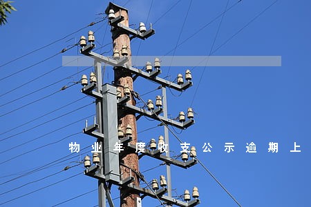 物业年度收支公示逾期上海 物业年度收支公示逾期上海