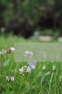 物业当庭道歉法院驳回起诉 物业当庭道歉法院驳回起诉