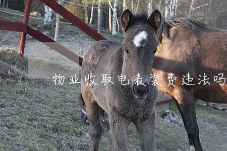物业收取电表装费违法吗