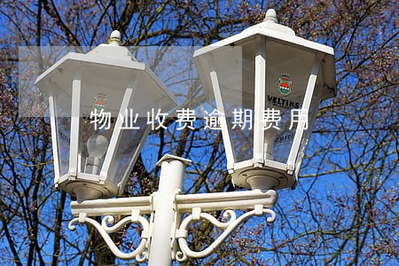 物业收费逾期费用 物业收费逾期费用