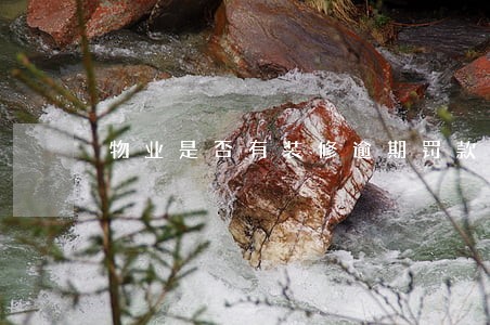 物业是否有装修逾期罚款权利 物业是否有装修逾期罚款权利