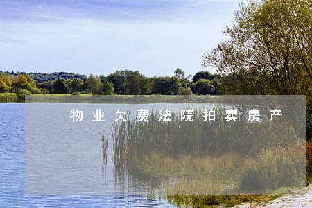 物业欠费法院拍卖房产 物业欠费法院拍卖房产