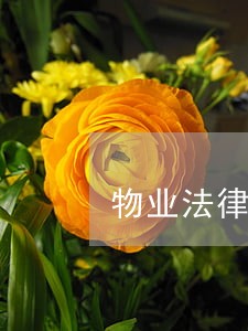 物业法律咨询在线直播 物业法律咨询在线直播