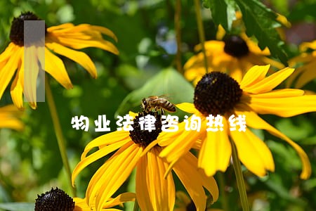 物业法律咨询热线 物业法律咨询热线