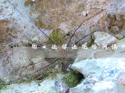 物业法律法规培训课件ppt下载 物业法律法规培训课件ppt下载