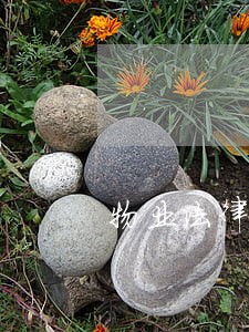 物业法律顾问天天打电话 物业法律顾问天天打电话