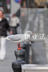 物业法律顾问的好处 物业法律顾问的好处