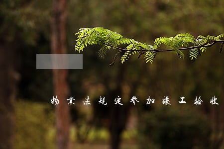 物业法规定参加竣工验收吗