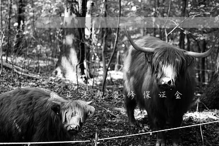 物业法规装修保证金 物业法规装修保证金