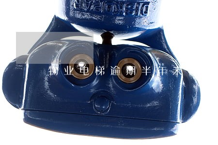 物业电梯逾期半年未年检 物业电梯逾期半年未年检