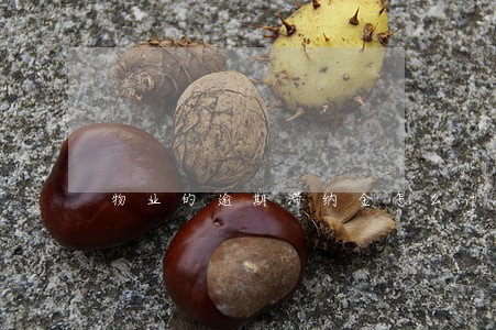 物业的逾期滞纳金怎么计算 物业的逾期滞纳金怎么计算